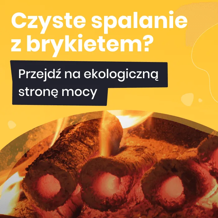 Zdjęcie Czy palenie brykietem się opłaca? Porównanie kosztów, efektywności i wpływu na środowisko