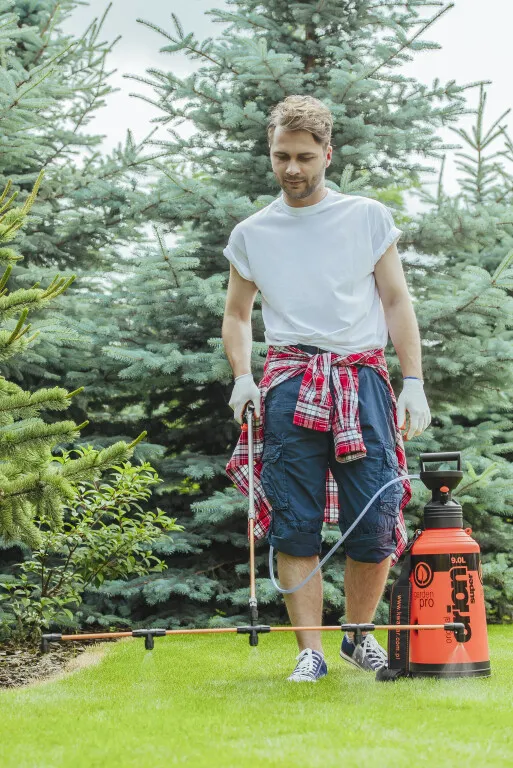 Zdjęcie Jaki nawóz do trawy po wertykulacji, aby uzyskać gęsty trawnika?