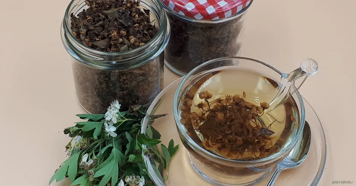 Zdjęcie Domowa herbata fermentowana krok po kroku. Uniknij błędów i ciesz się zdrowiem!