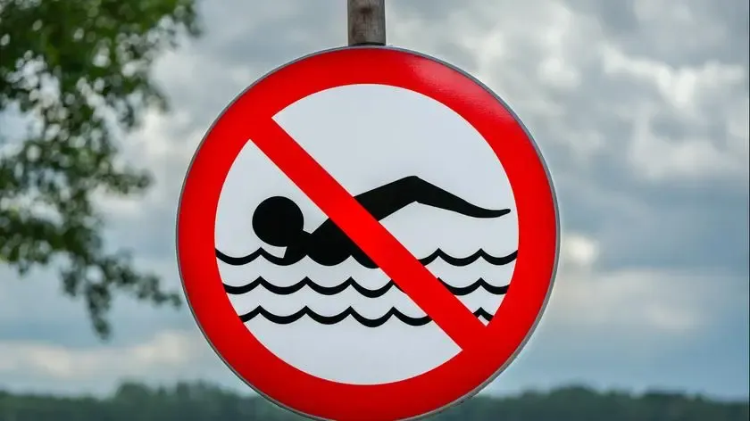 Zdjęcie Czy w Kołobrzegu są sinice? Sprawdź zagrożenia dla zdrowia i kąpielisk