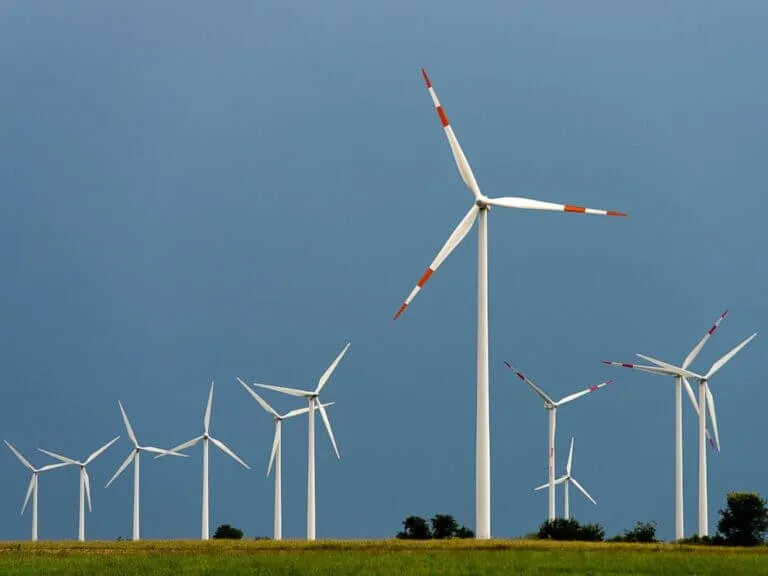 Zdjęcie Czy elektrownie wiatrowe są ekologiczne? Odkryj ich ukryte wady i zalety