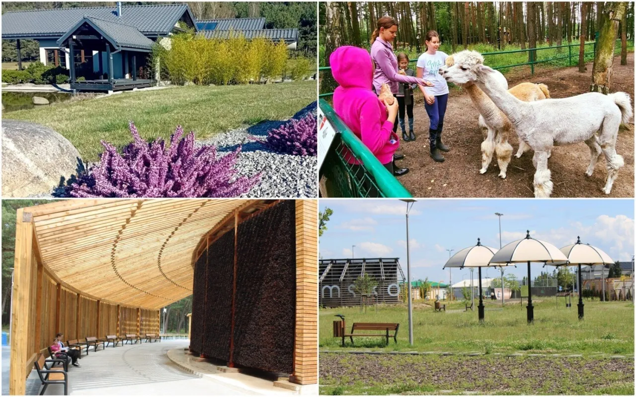 Zdjęcie Najlepsze atrakcje w Radomsku na weekend – nie przegap tych miejsc