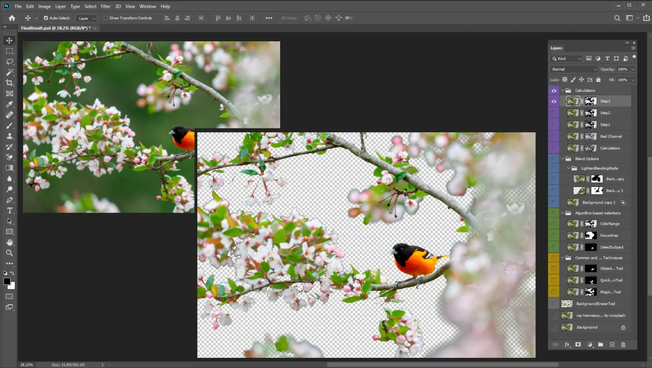 Zdjęcie Skuteczne sposoby na to, jak usunąć zaznaczenie w Photoshopie i pracować z obrazem