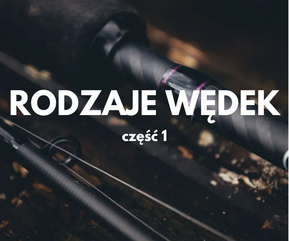 Zdjęcie Z czego składa się wędka? Odkryj kluczowe elementy i materiały