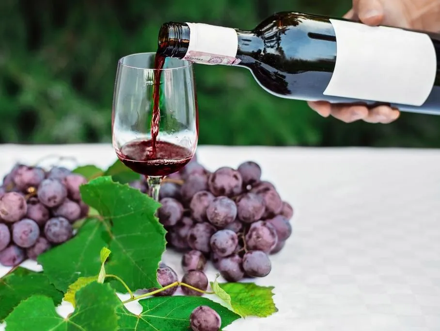 Zdjęcie Wino wegańskie czym się różni od tradycyjnego? Odkryj sekrety produkcji