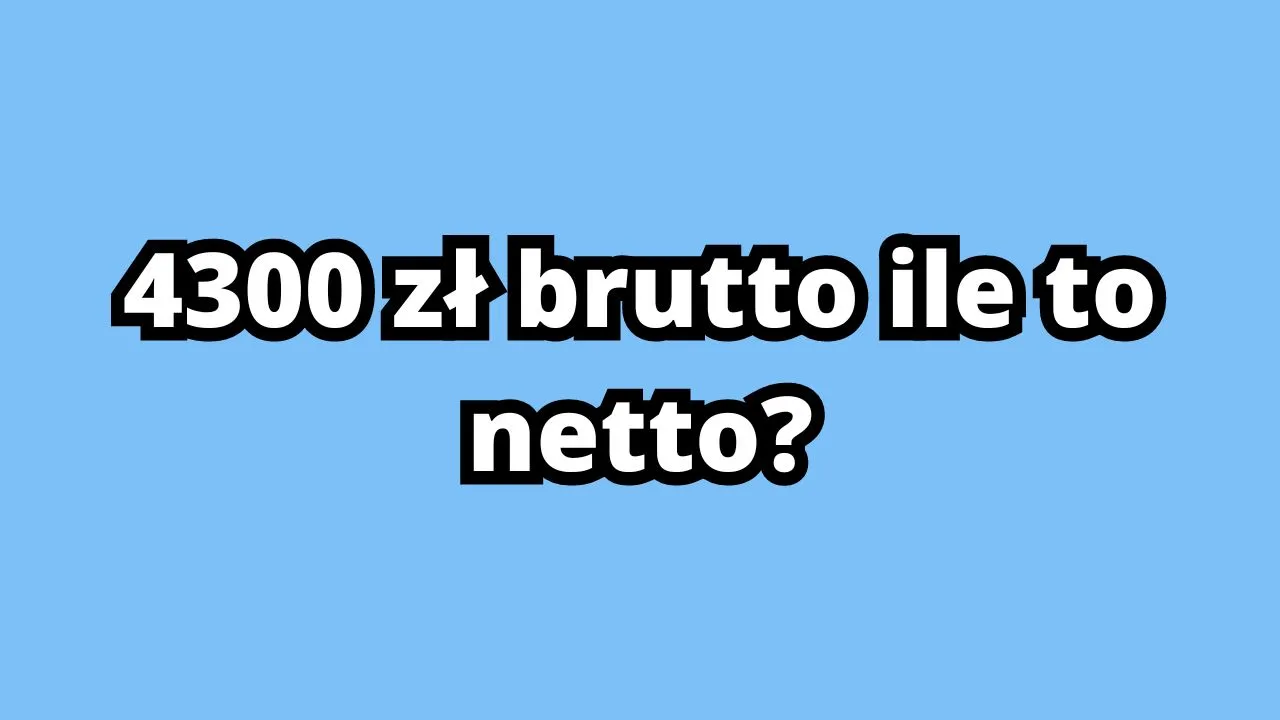 Zdjęcie 23 brutto ile to netto zlecenie - uniknij nieprzyjemnych niespodzianek