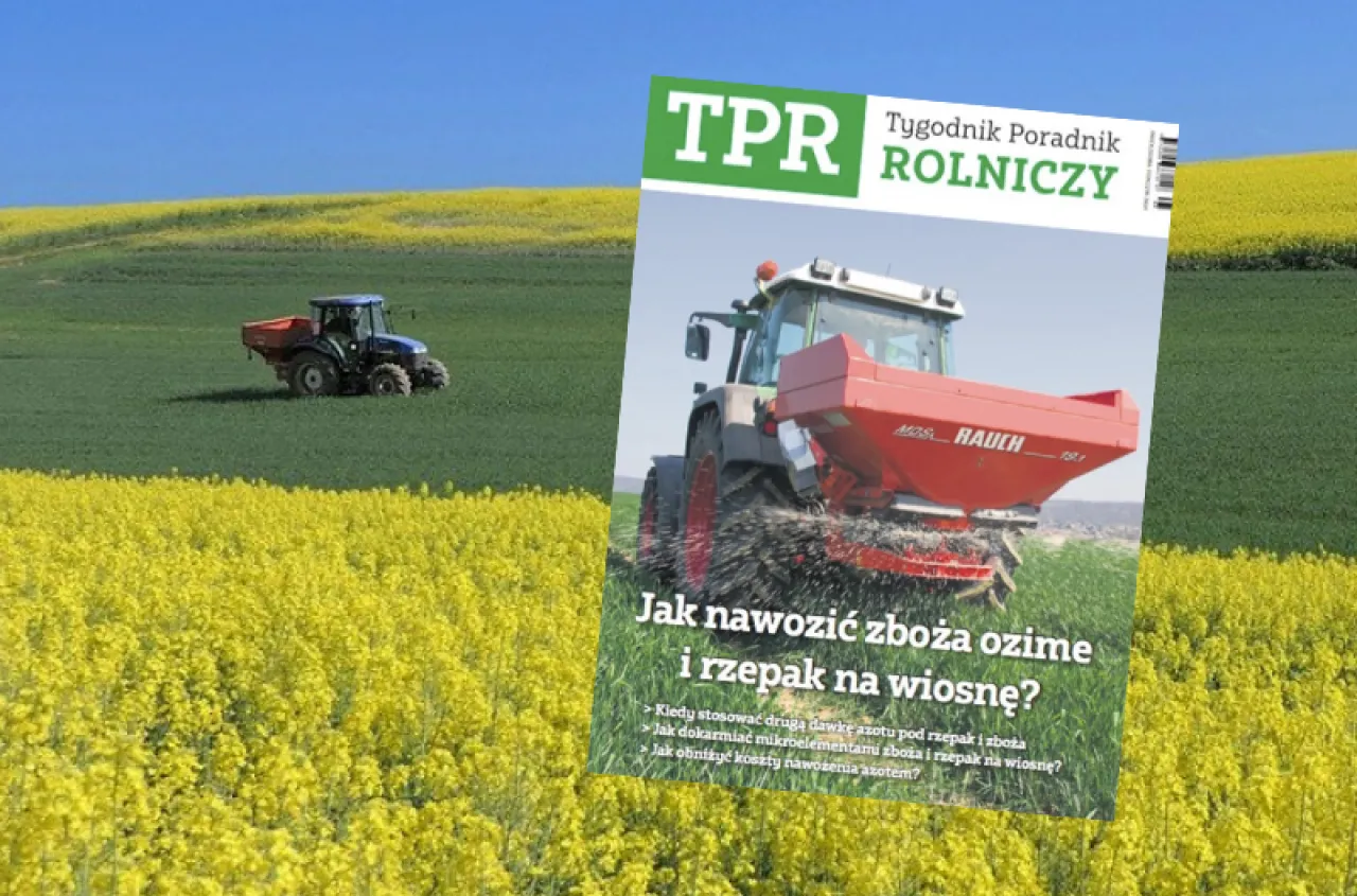 Zdjęcie Jaki nawóz na żyto wiosną? Kompletny poradnik dla rolników