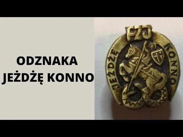 Zdjęcie Co trzeba umieć na jeżdżę konno, aby zdobyć odznakę i czuć się pewnie
