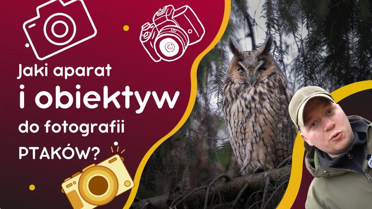 Zdjęcie Najlepsze obiektywy do fotografii zwierząt: profesjonalne ujęcia bez stresu