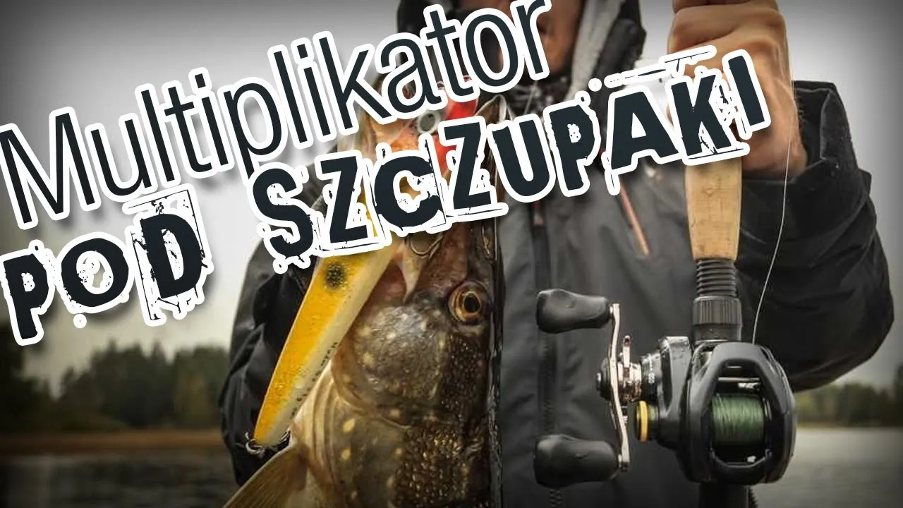 Zdjęcie Kołowrotek multiplikator – jak wybrać najlepszy model i uniknąć błędów