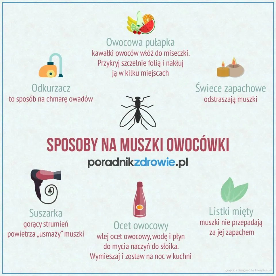Zdjęcie Skuteczne sposoby na pozbycie się muszek z kuchni - poradnik