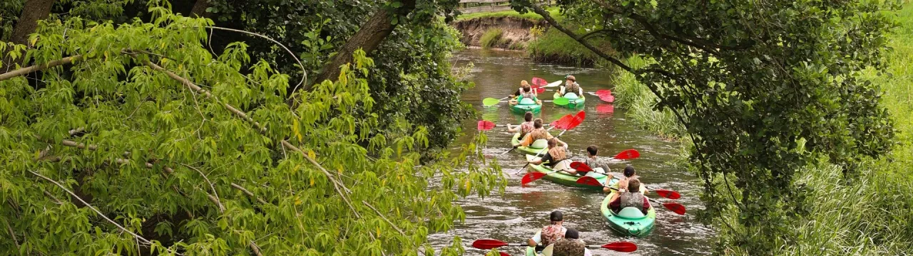 Zdjęcie Spływy kajakowe Obrocz: Trasy, Ceny i Przewodnik 2026