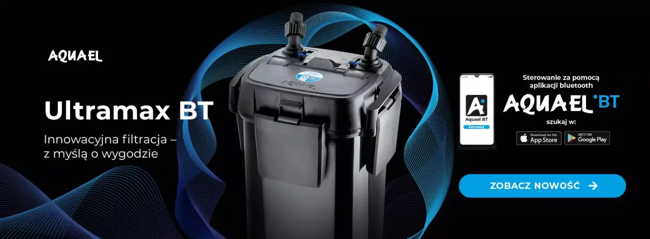 Zdjęcie Jaki filtr do akwarium 100l - wybierz najlepszy filtr bez zbędnych kosztów