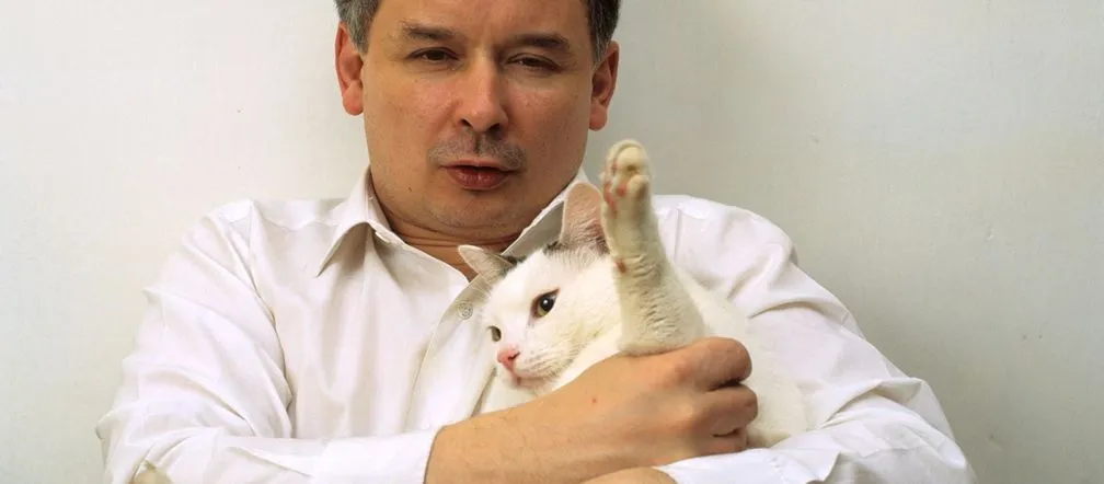 Zdjęcie Ile kotów ma Kaczyński? Zaskakujące fakty o jego pupilkach