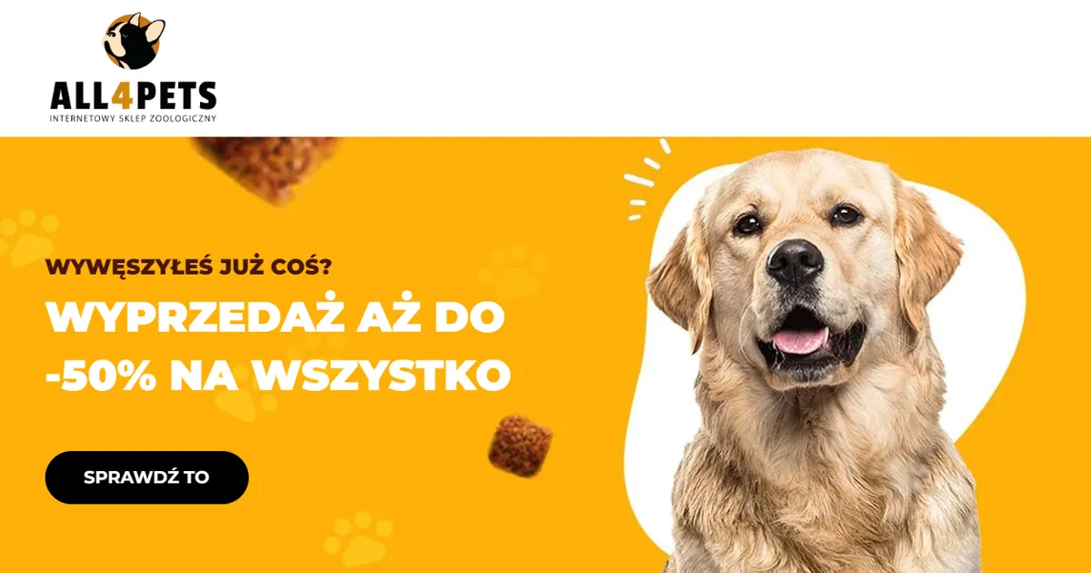 Zdjęcie Jaką obrożę przeciw kleszczom dla psa wybrać, by zapewnić bezpieczeństwo?