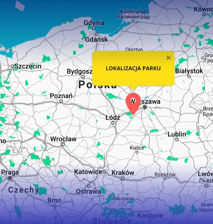 Zdjęcie Gdzie jest Disneyland w Polsce? Oto prawda o braku parku rozrywki