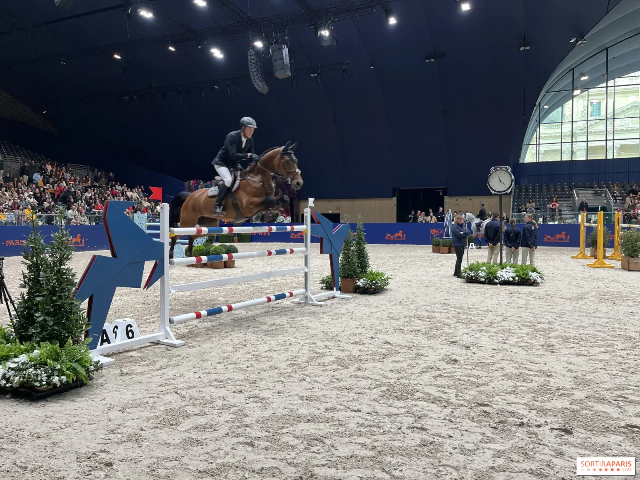 Zdjęcie Jeździectwo na igrzyskach olimpijskich: Kluczowe fakty i rywalizacja