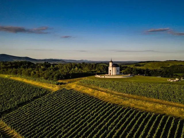 Zdjęcie Najciekawsze atrakcje w Tokaju, które musisz zobaczyć podczas wizyty