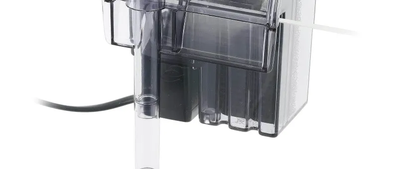 Zdjęcie Jak skutecznie wyciszyć hałasujący filtr wewnętrzny w akwarium – proste sposoby