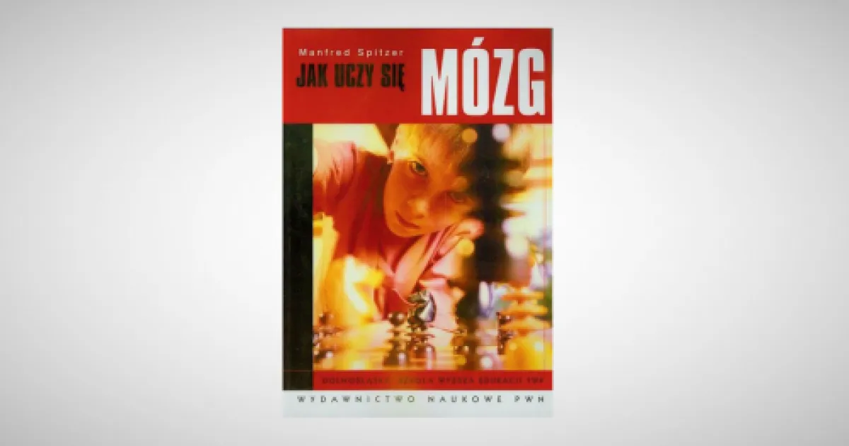 Zdjęcie Poznaj fascynujący proces jak uczy się mózg - naukowe wyjaśnienie