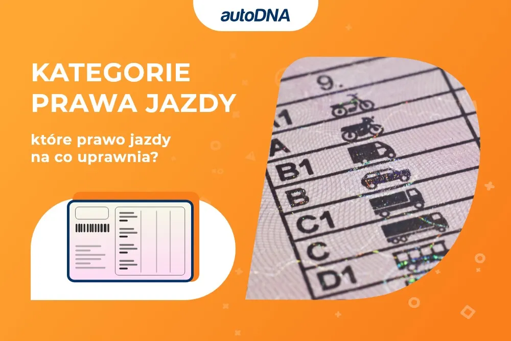 Zdjęcie Jakie kategorie prawa jazdy? Wymagania i uprawnienia, które musisz znać