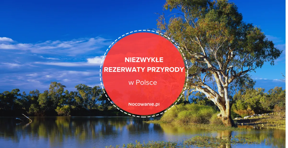Zdjęcie Rezerwaty przyrody w Polsce: Odkryj ich niezwykłe piękno i znaczenie