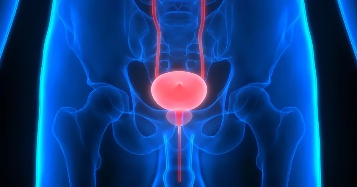 Zdjęcie Badanie prostaty w jakim wieku? Kluczowe informacje dla mężczyzn.