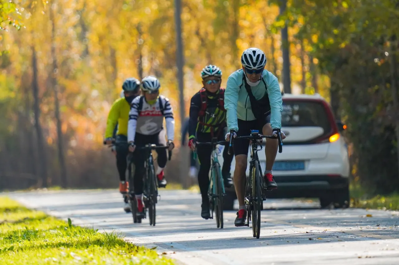 Zdjęcie Najlepsze trasy rowerowe w Siedlcach - odkryj piękne szlaki