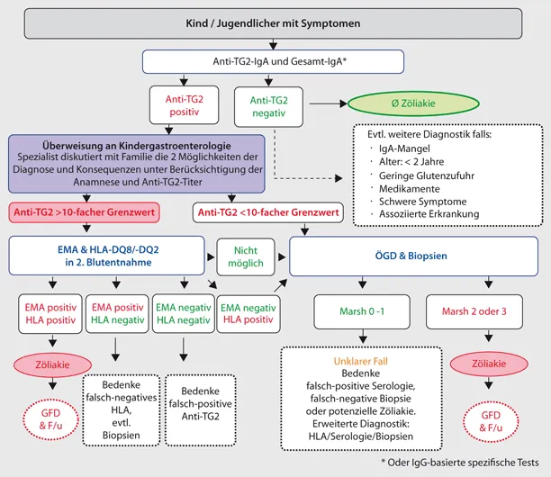 Zdjęcie Zöliakie Diagnostik: So vermeiden Sie Fehldiagnosen und Schmerzen