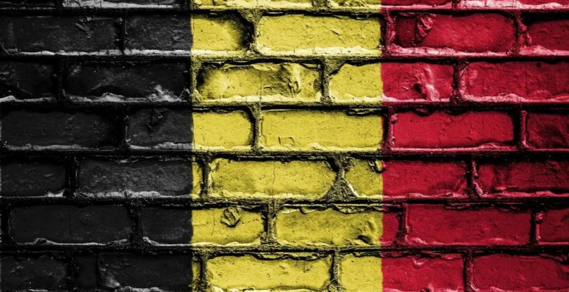 Zdjęcie Jak wygląda flaga Belgii? Odkryj jej kolory i znaczenie symboli