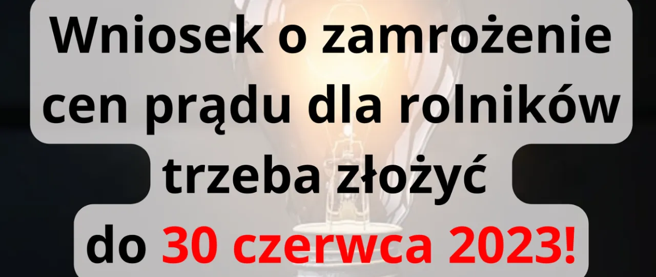 Zdjęcie Jakie dokumenty są potrzebne do zamrożenia cen prądu dla rolników?