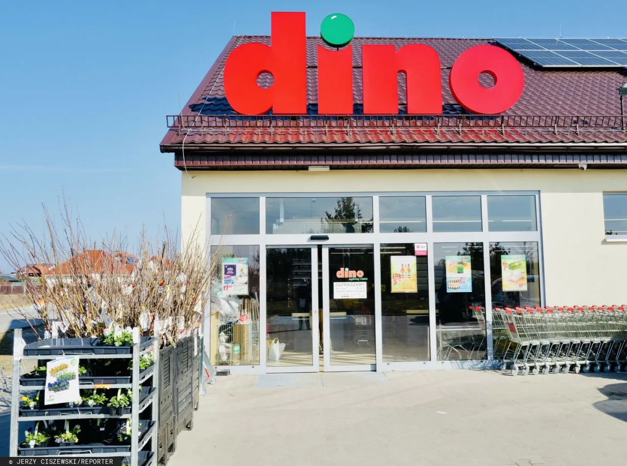 Zdjęcie Kto jest właścicielem sieci dino? Poznaj tajemnice sukcesu Biernackiego