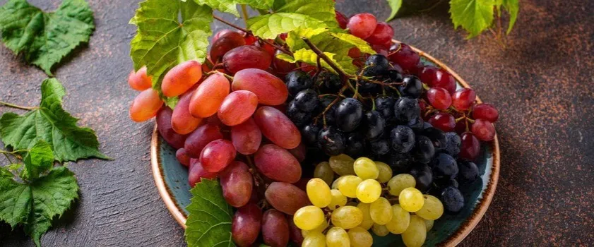 Zdjęcie Czy winogrona są zdrowe? 8 faktów, które Cię zaskoczą i zachwycą
