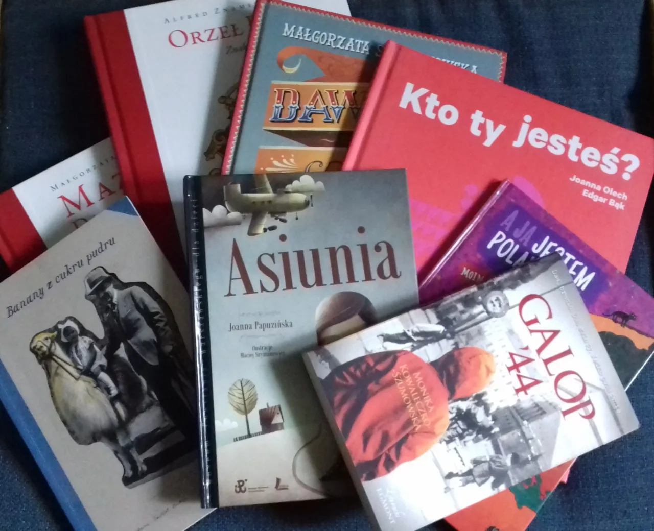 Zdjęcie Znaczenie literatury patriotycznej: wartości i wpływ na tożsamość narodu