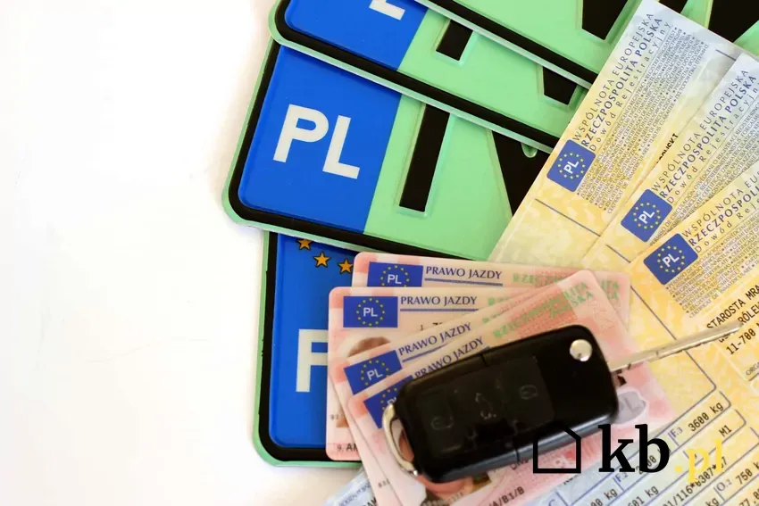 Zdjęcie Ile trwa rejestracja samochodu przez internet? Sprawdź, co musisz wiedzieć
