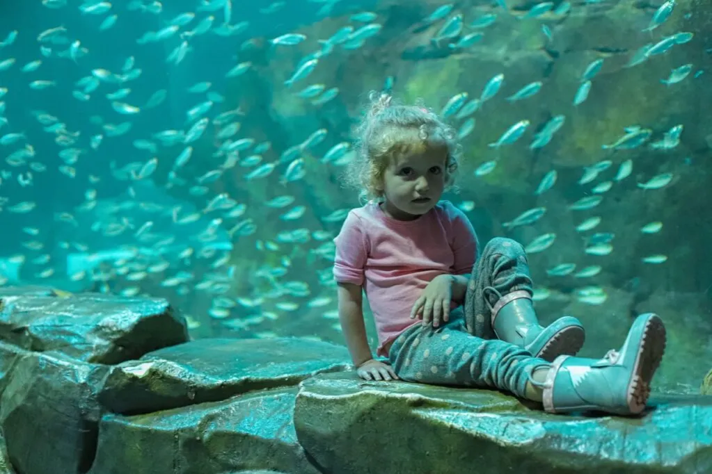 Zdjęcie Oceanarium w Pradze – Niezapomniane atrakcje i informacje praktyczne