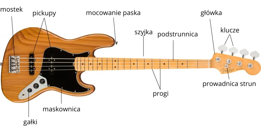 Zdjęcie Gitara basowa czy elektryczna – kluczowe różnice, które musisz znać