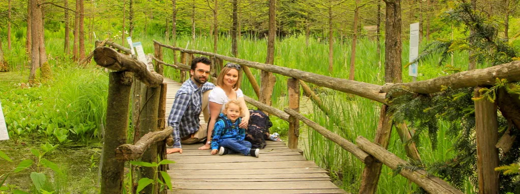 Zdjęcie Atrakcje w Bolestraszycach, które musisz zobaczyć i przeżyć