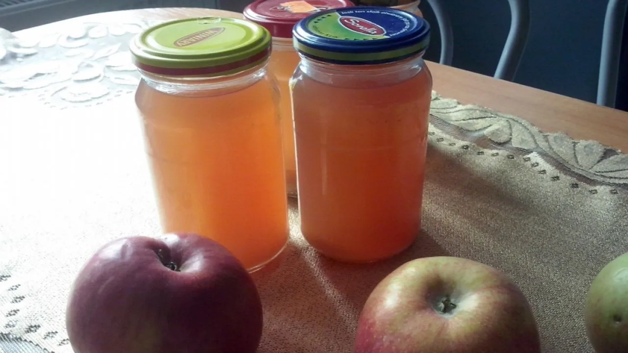 Zdjęcie Jak pasteryzować sok z jabłek - proste kroki, aby uniknąć zepsucia
