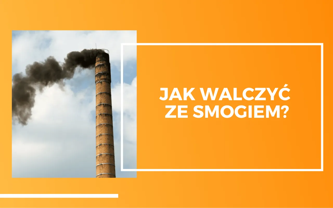 Zdjęcie Jak walczyć ze smogiem? Skuteczne sposoby na poprawę jakości powietrza