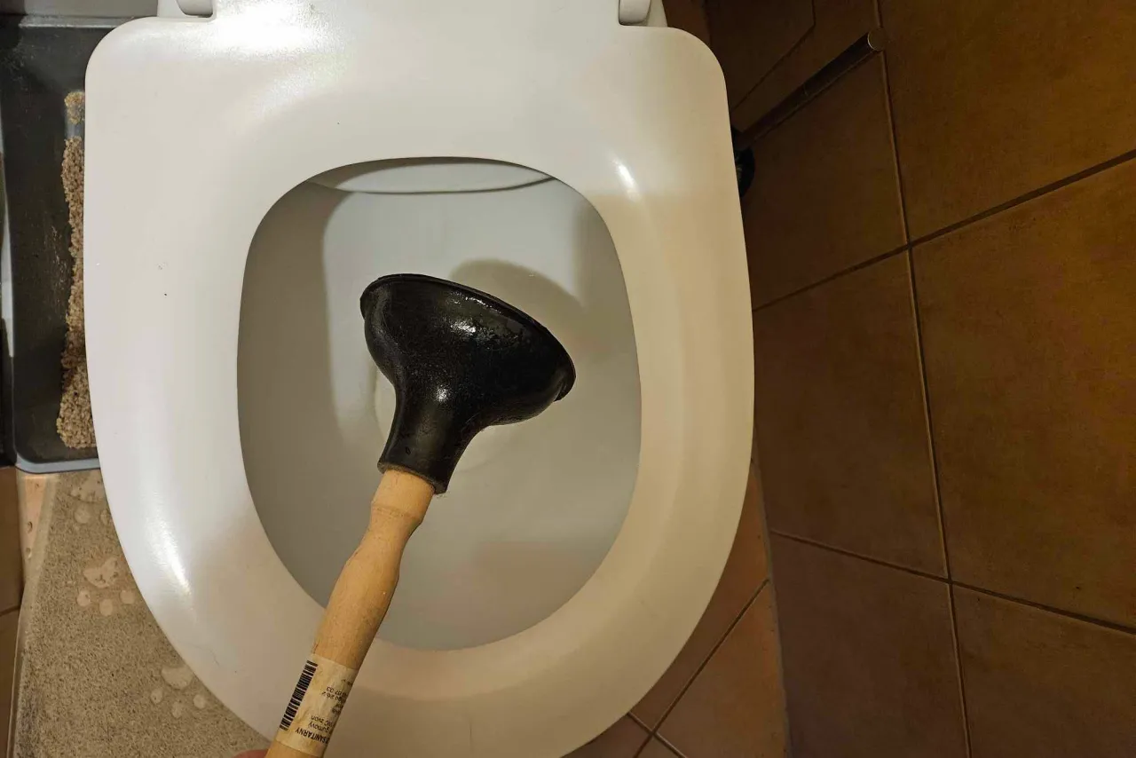 Zdjęcie Sennik zapchana toaleta - Brudna woda w toalecie