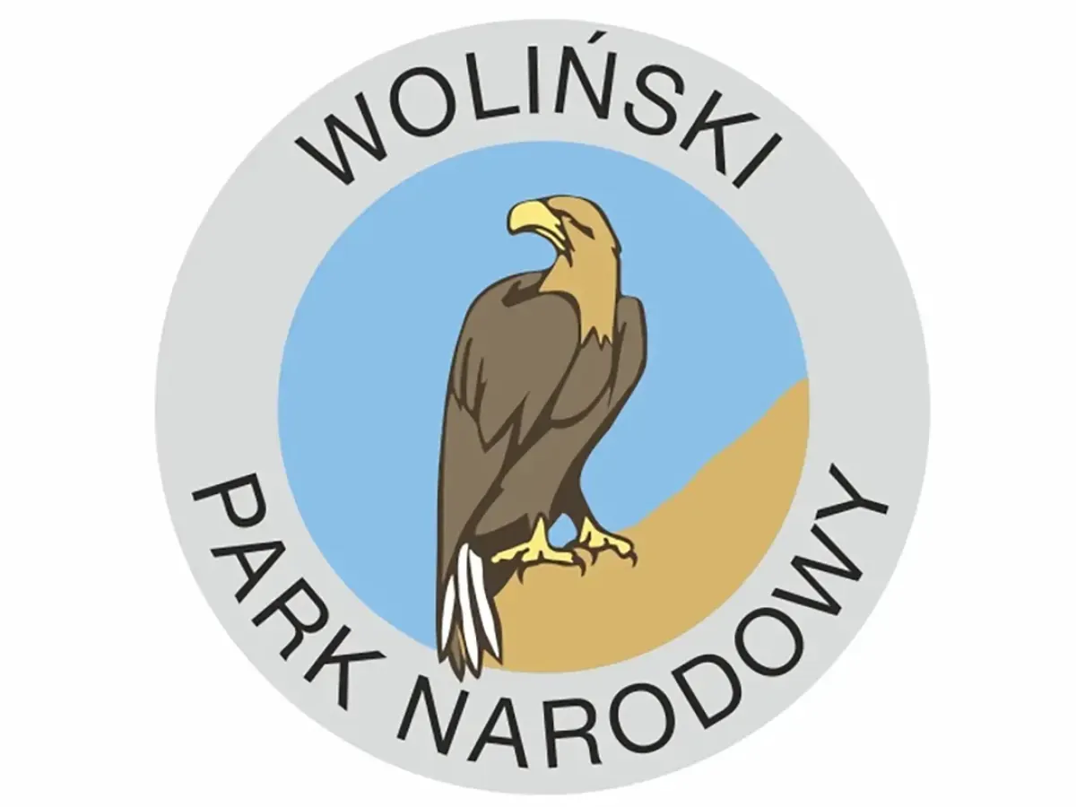 Zdjęcie Co jest symbolem Wolińskiego Parku Narodowego? Poznaj orła bielika