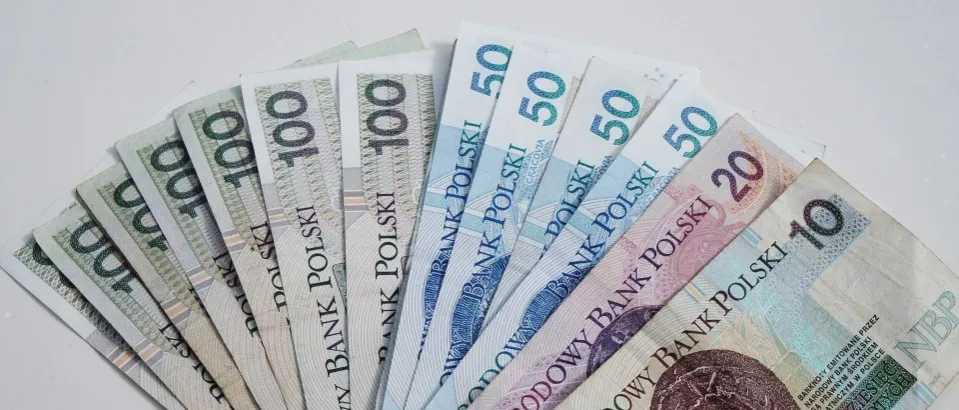 Zdjęcie Ile można dostać w bocian pożyczki? Sprawdź maksymalne kwoty i opcje