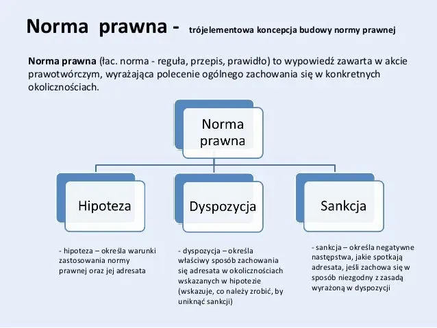 Zdjęcie Co to jest przepis prawny? Kluczowe informacje, które musisz znać