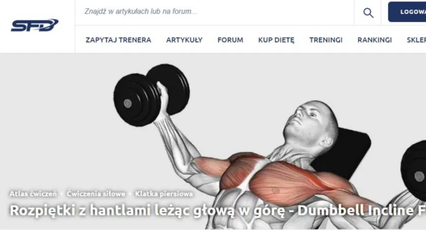 Zdjęcie Ile ćwiczeń na klatkę piersiową? Odkryj optymalne podejście dla siebie