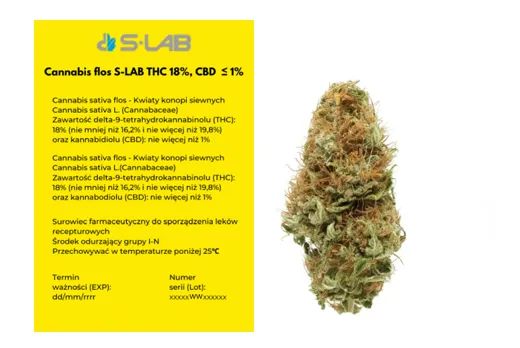 Zdjęcie Medyczna marihuana gdzie kupić - kluczowe informacje i porady