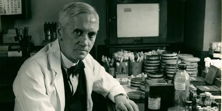 Zdjęcie Kto wynalazł penicylinę? Niezwykła historia odkrycia, które zmieniło świat