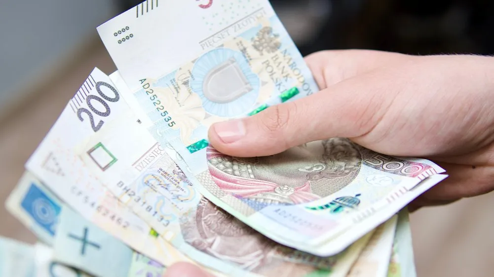 Zdjęcie Jak odzyskać pieniądze z zus i ofe po śmierci ubezpieczonego bez problemów