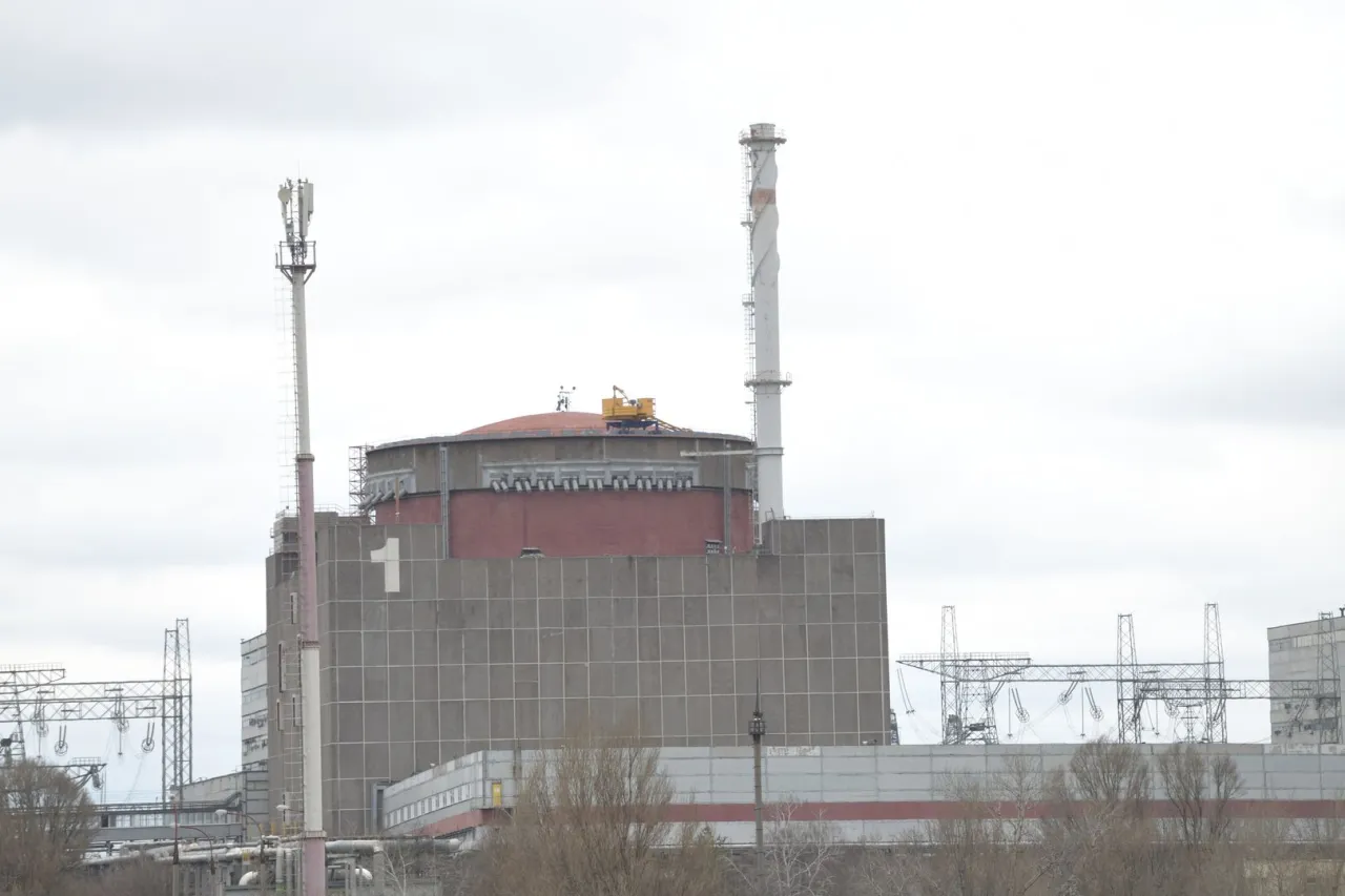 Zdjęcie Czy elektrownia w Zaporożu naprawdę zagraża Polsce? Sprawdź fakty