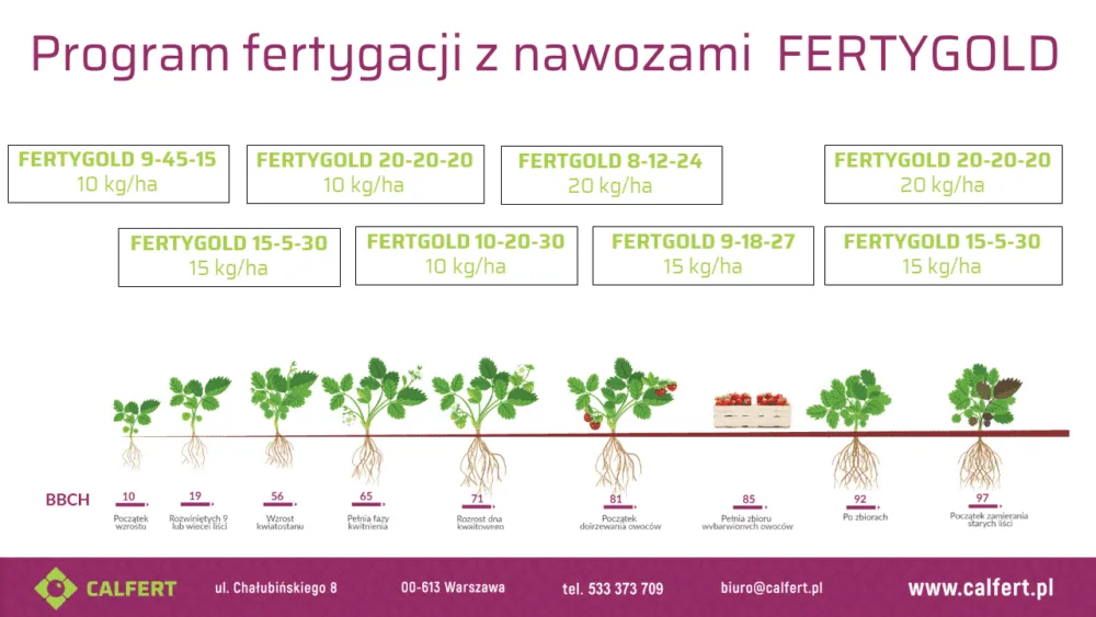 Zdjęcie Jakie nawozy do fertygacji wybrać, aby uniknąć błędów w uprawie?